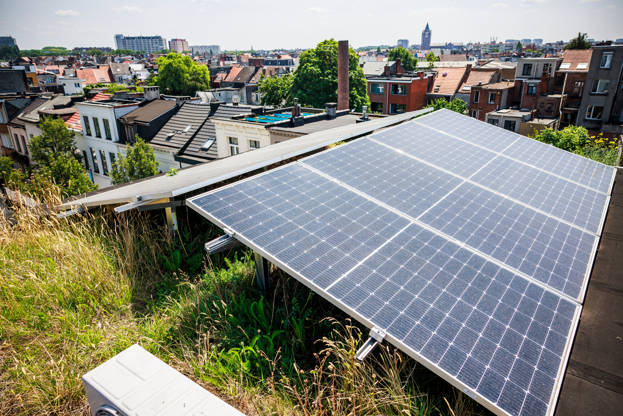 Zonnepanelen op een groendak.
