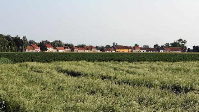 Zwaantje - Beauvoorde
