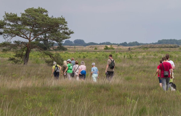 Zomerse stapwandeling - ca 10 km