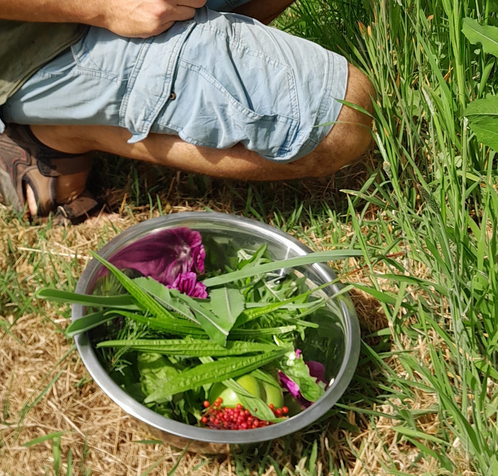 koken met wilde en minder wilde planten