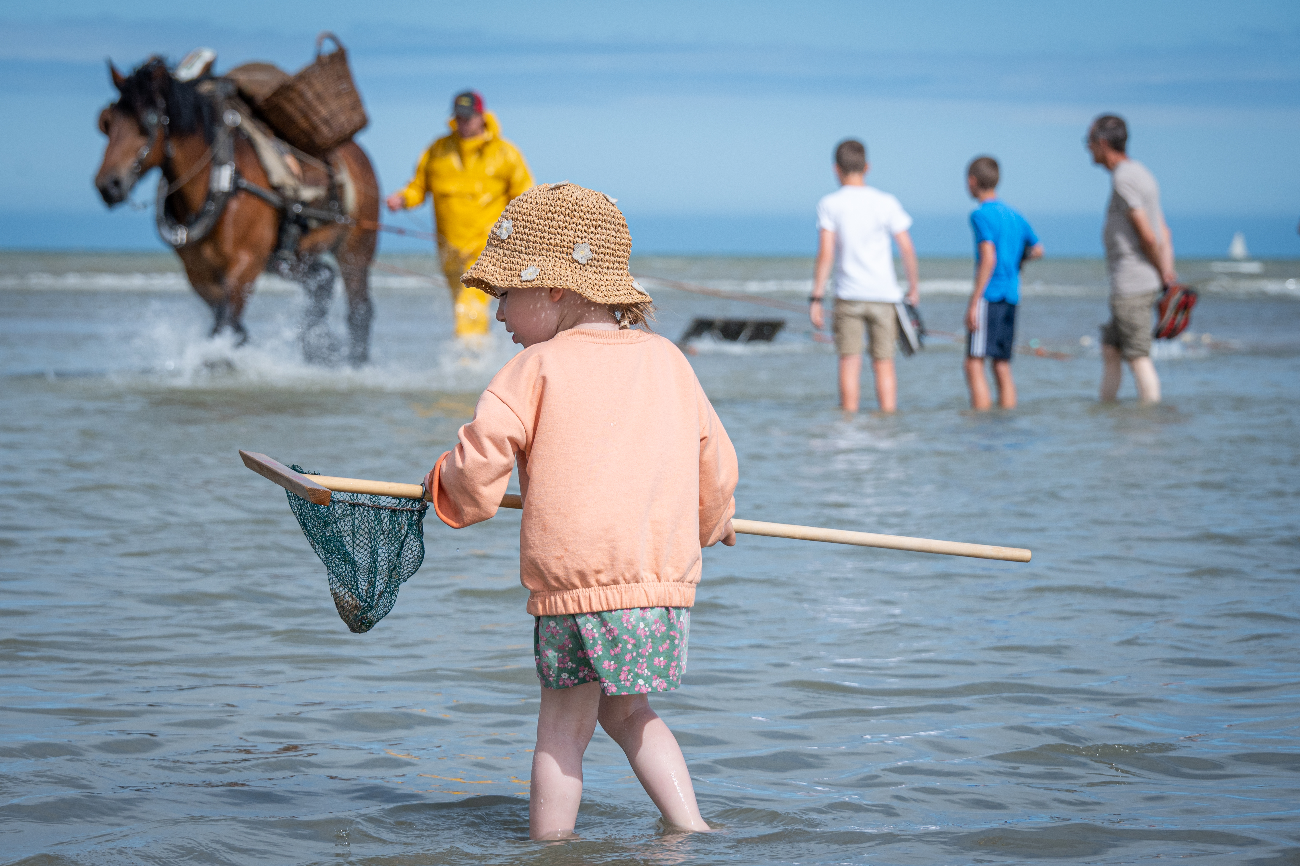 Garnalenvissen voor kinderen