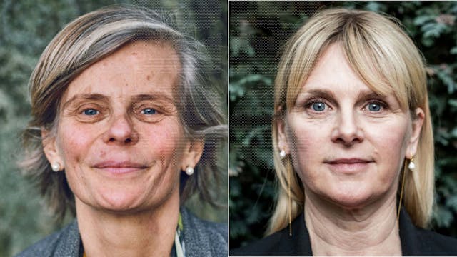 Ode aan de Verwondering - An Miller, Dimitri Leue & Koen Vanmechelen