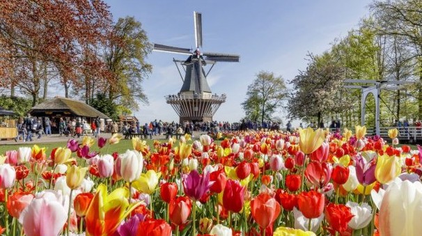 keukenhof