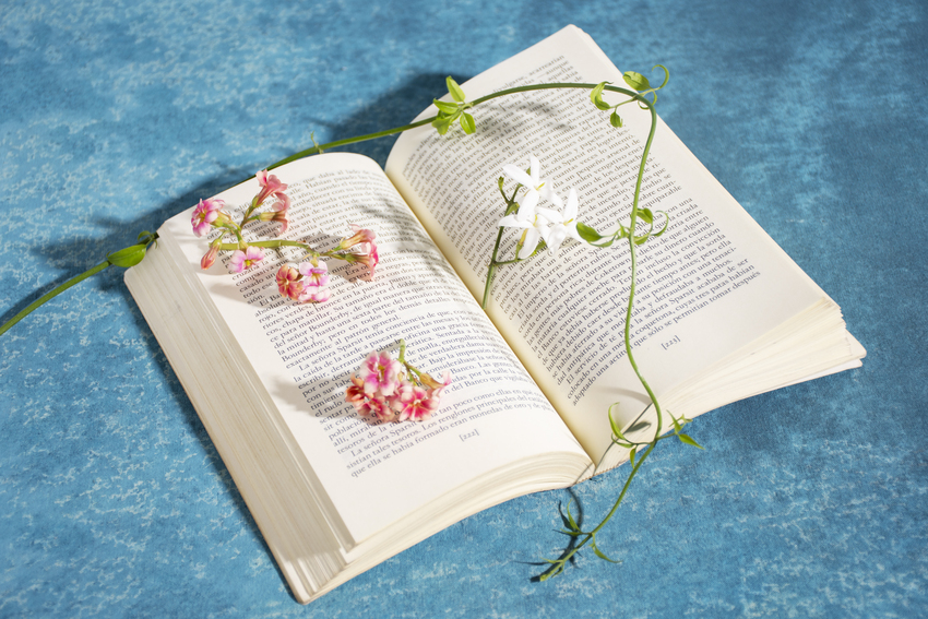 Je dis livres ! le club de lecture de la biblio