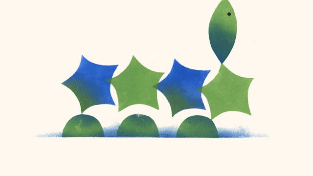 c Elise Vandeplancke