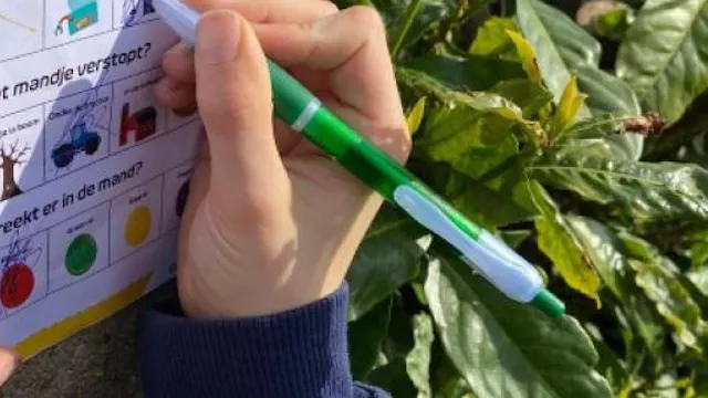 Image for gzbd activity