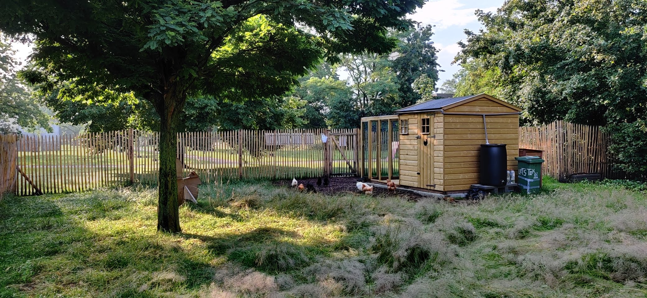 Zicht op onze kippenren