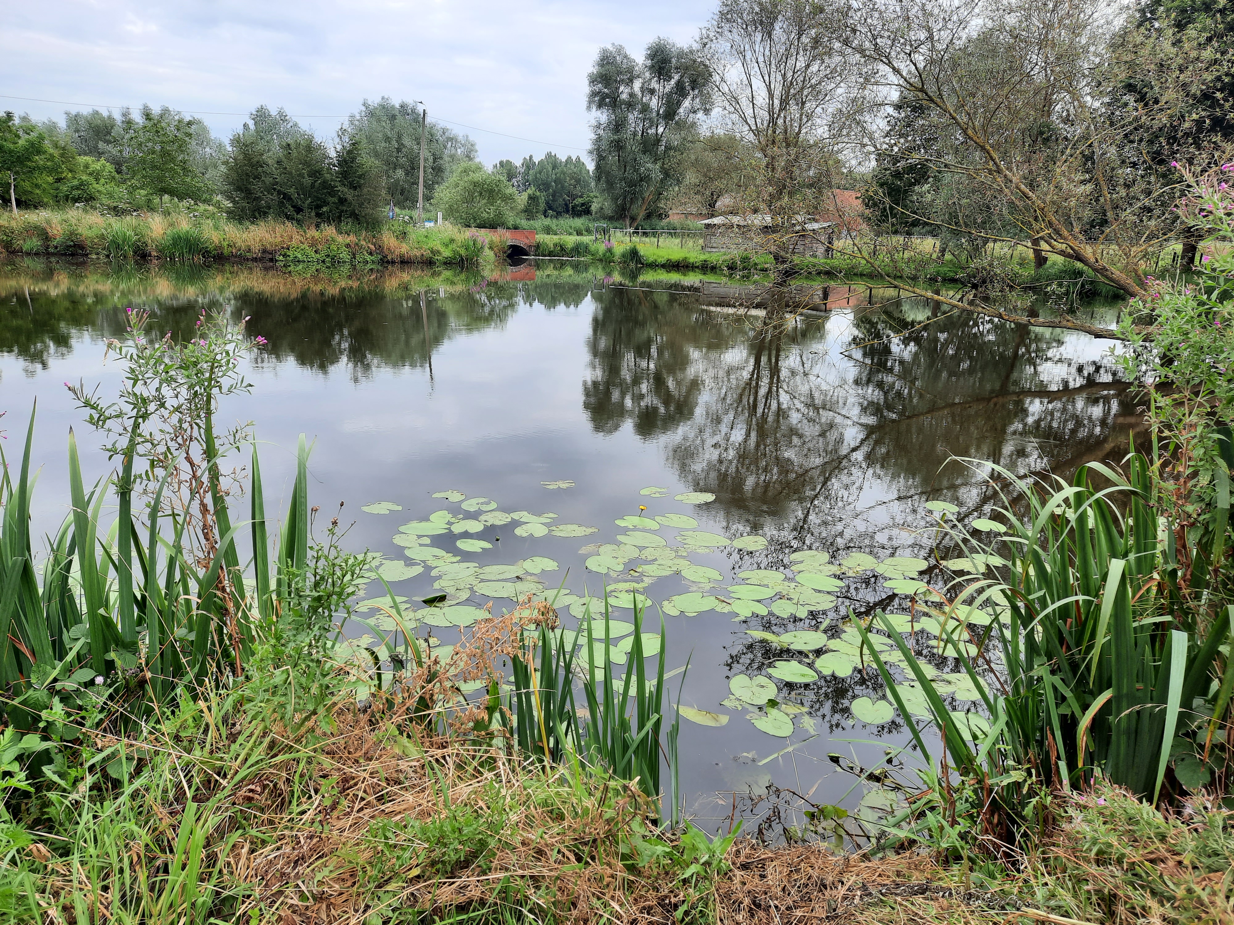 Infoavond - Naar een natuurlijke herinrichting van het Akkershoofd