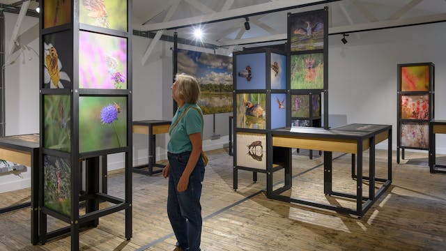 Expo Vloethemveld in beeld