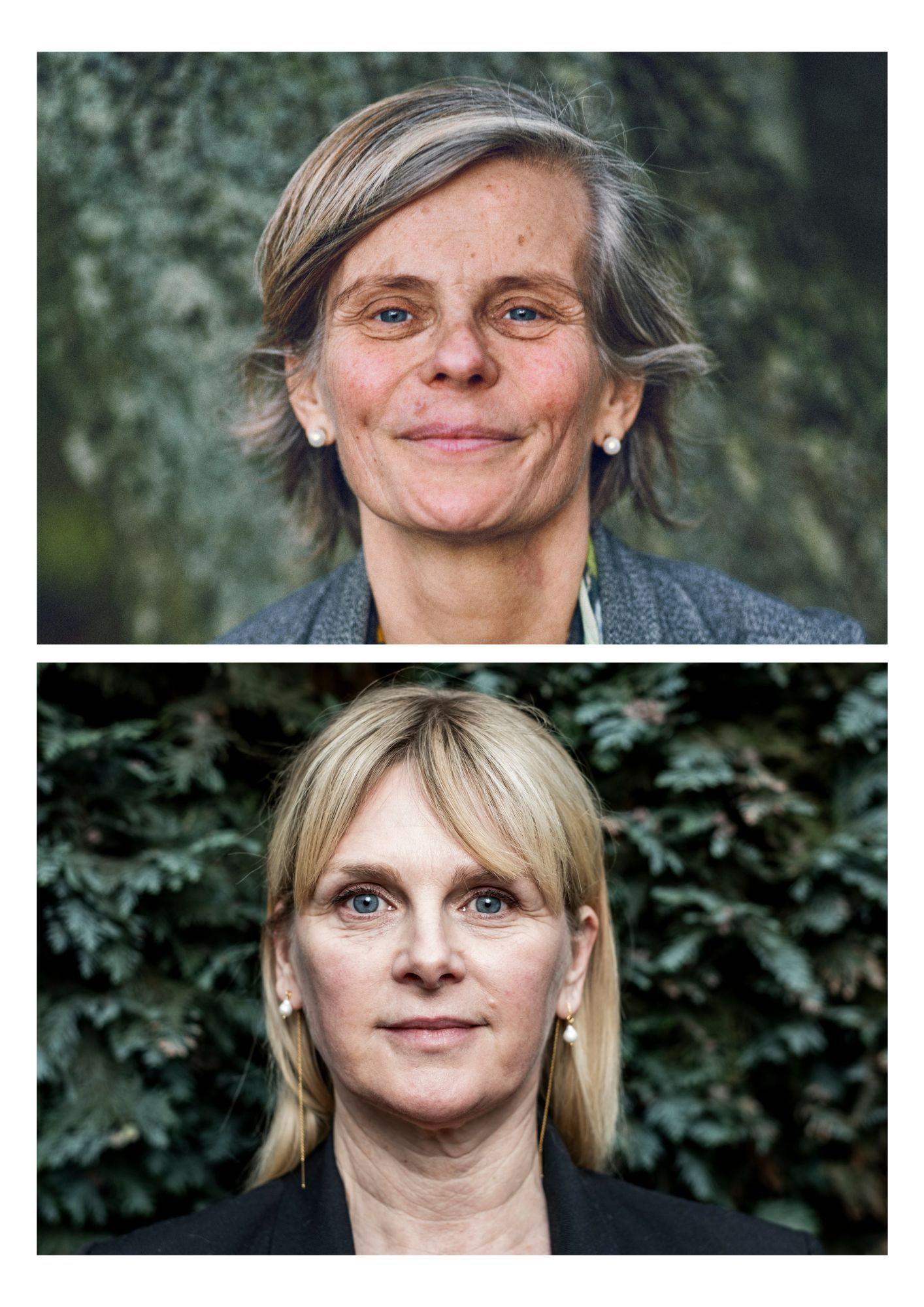 An Miller, Dimitri Leue, Koen Vanmechelen