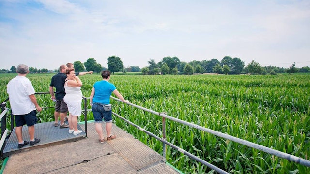 Uitzicht maïsdoolhof