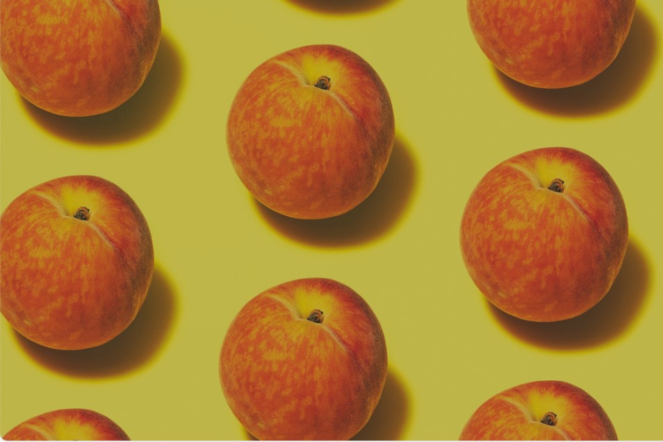 Drink & Draw Spécial "Het bewoonde huis"