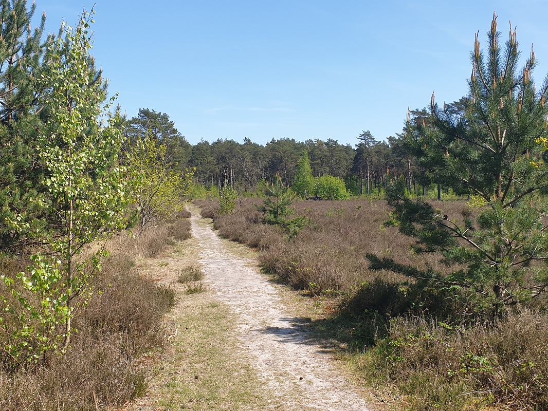 Landschapsfoto tijdens wandeling