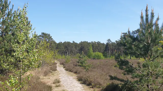 Landschapsfoto tijdens wandeling