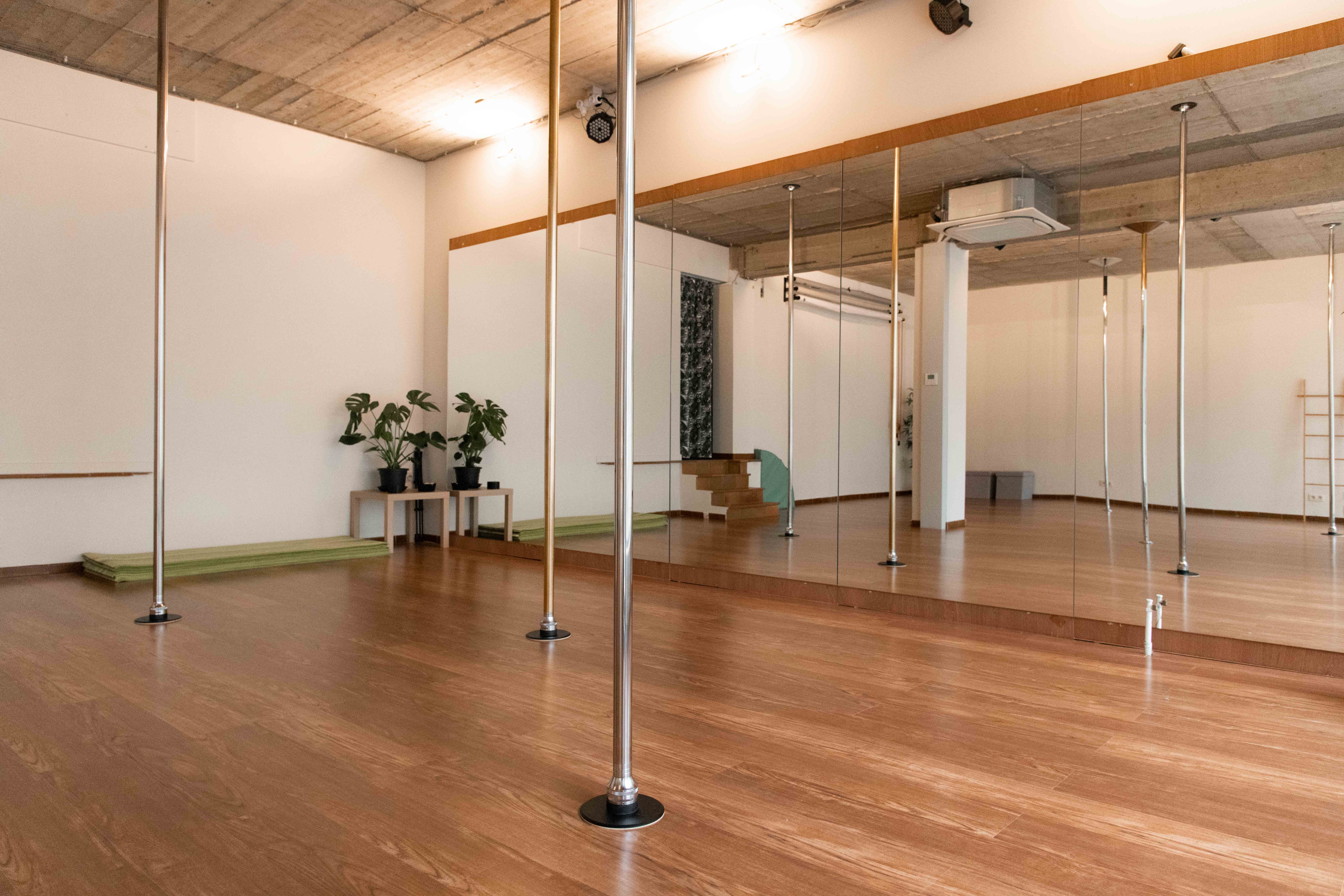 Professionele danspalen en installaties