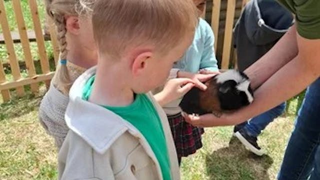 mobiele kinderboerderij