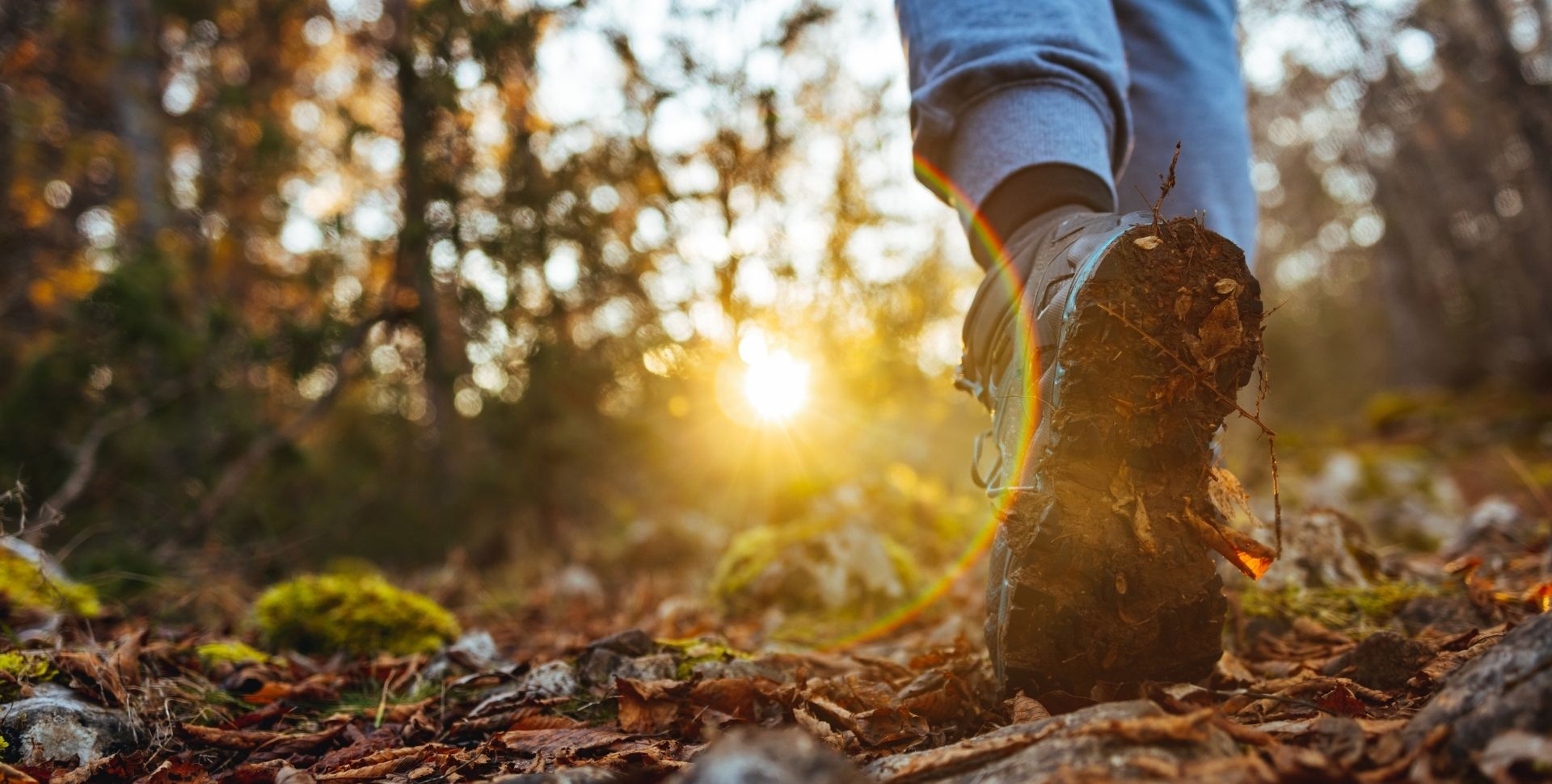 Winterwandeling in domein De Brielmeersen