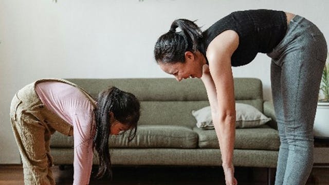 gemeentebestuur Wingene