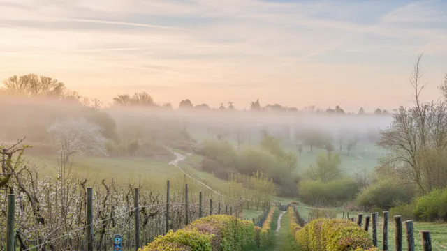 Landschapswandeling Grootloon