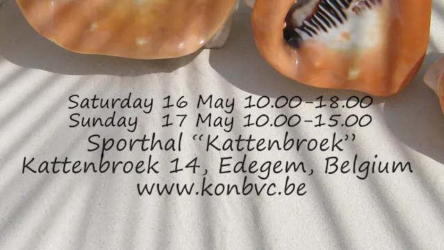 Internationale schelpenbeurs