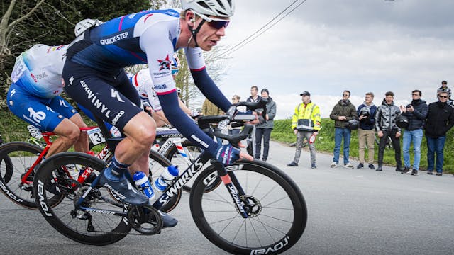 Fotografie special: ze zijn daar!