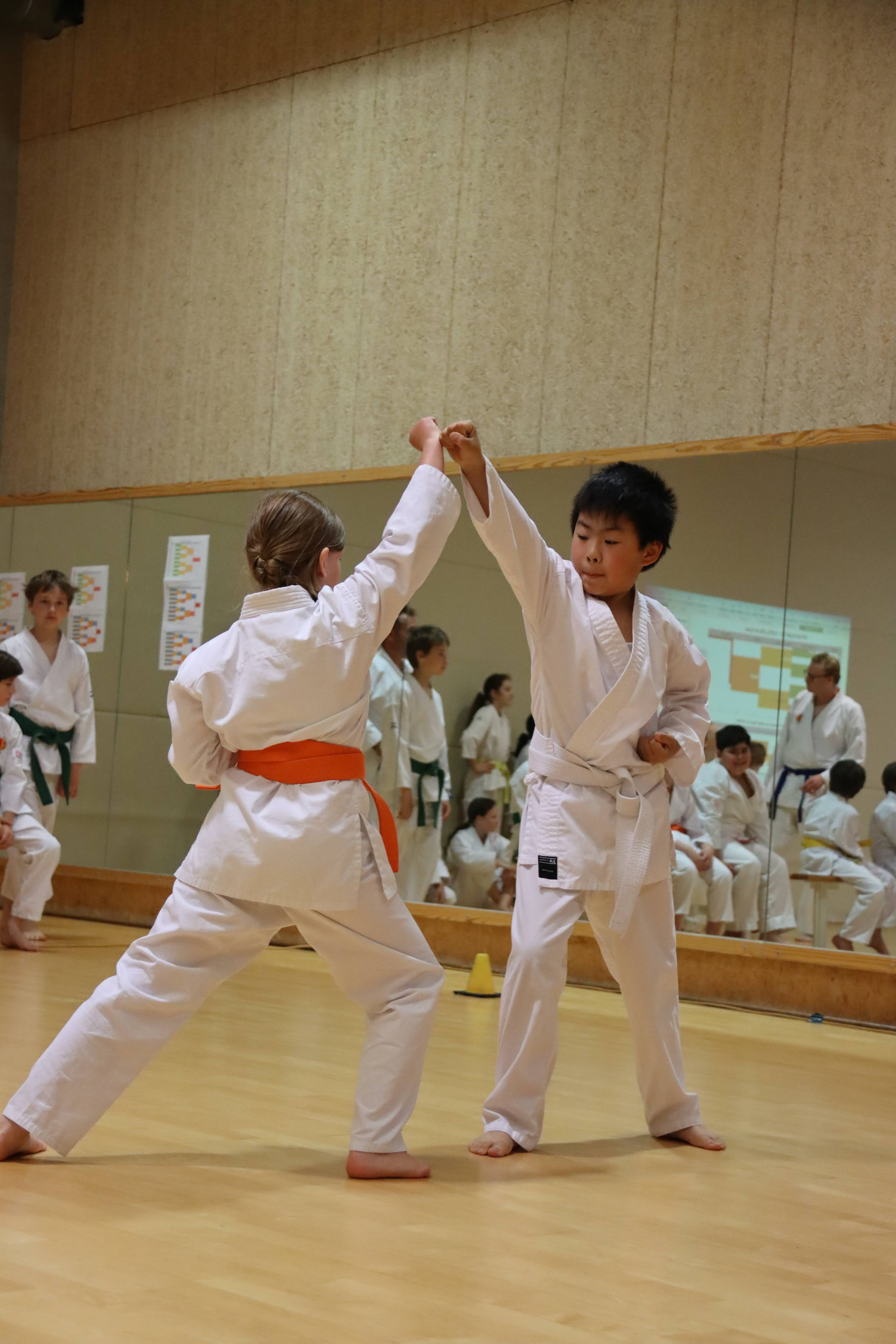 Karate bij Shito Kai Gent