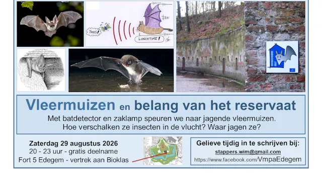 Uitnodigung - Vleermuizen en belang van het reservaat - 29 augustusi 2026