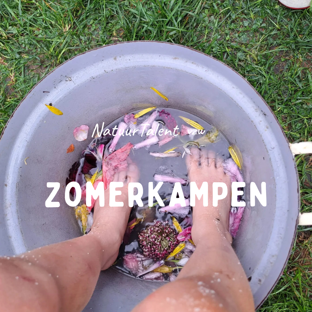 zomerkampen