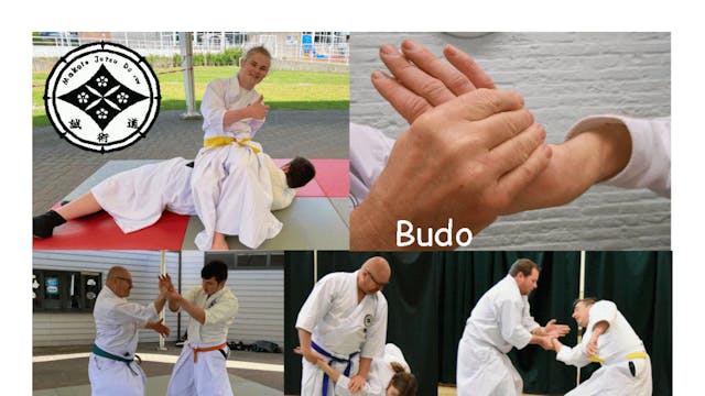 Budo