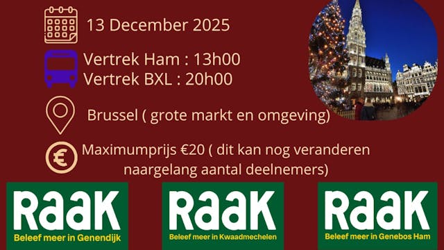 Kerstmarkt Brussel