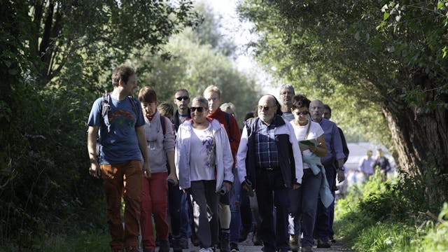 Maandelijkse wandeling