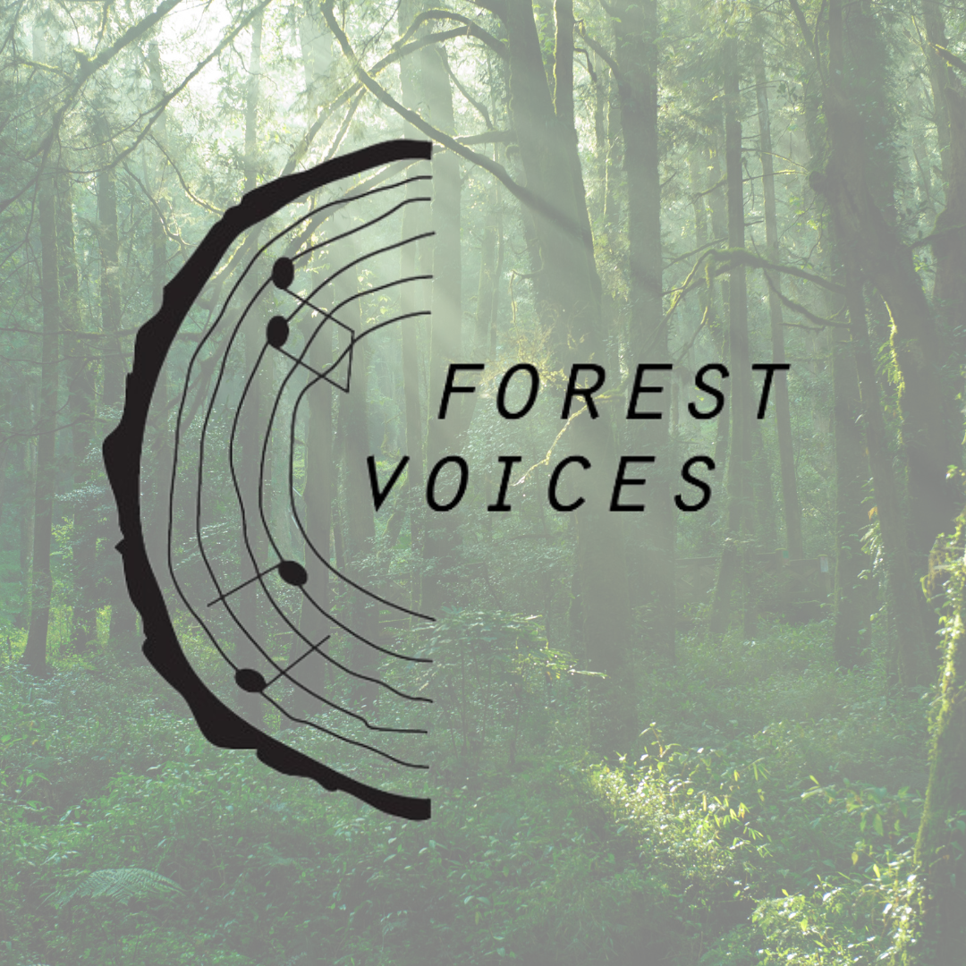 Forest Voices is een kamerkoor met steeds een verrassend en veelzijdig repertoire: van klassiek tot swingende melodieën.