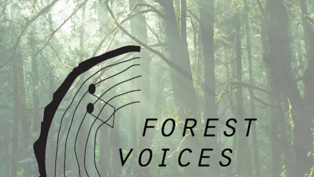 Forest Voices is een kamerkoor met steeds een verrassend en veelzijdig repertoire: van klassiek tot swingende melodieën.