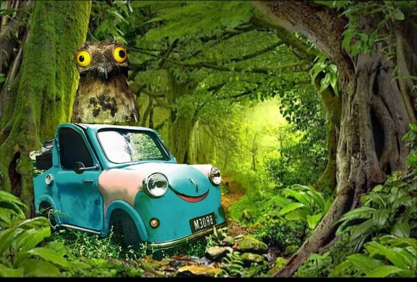 FotoEllenSmetsVreemdeVogelHR (Small).jpg