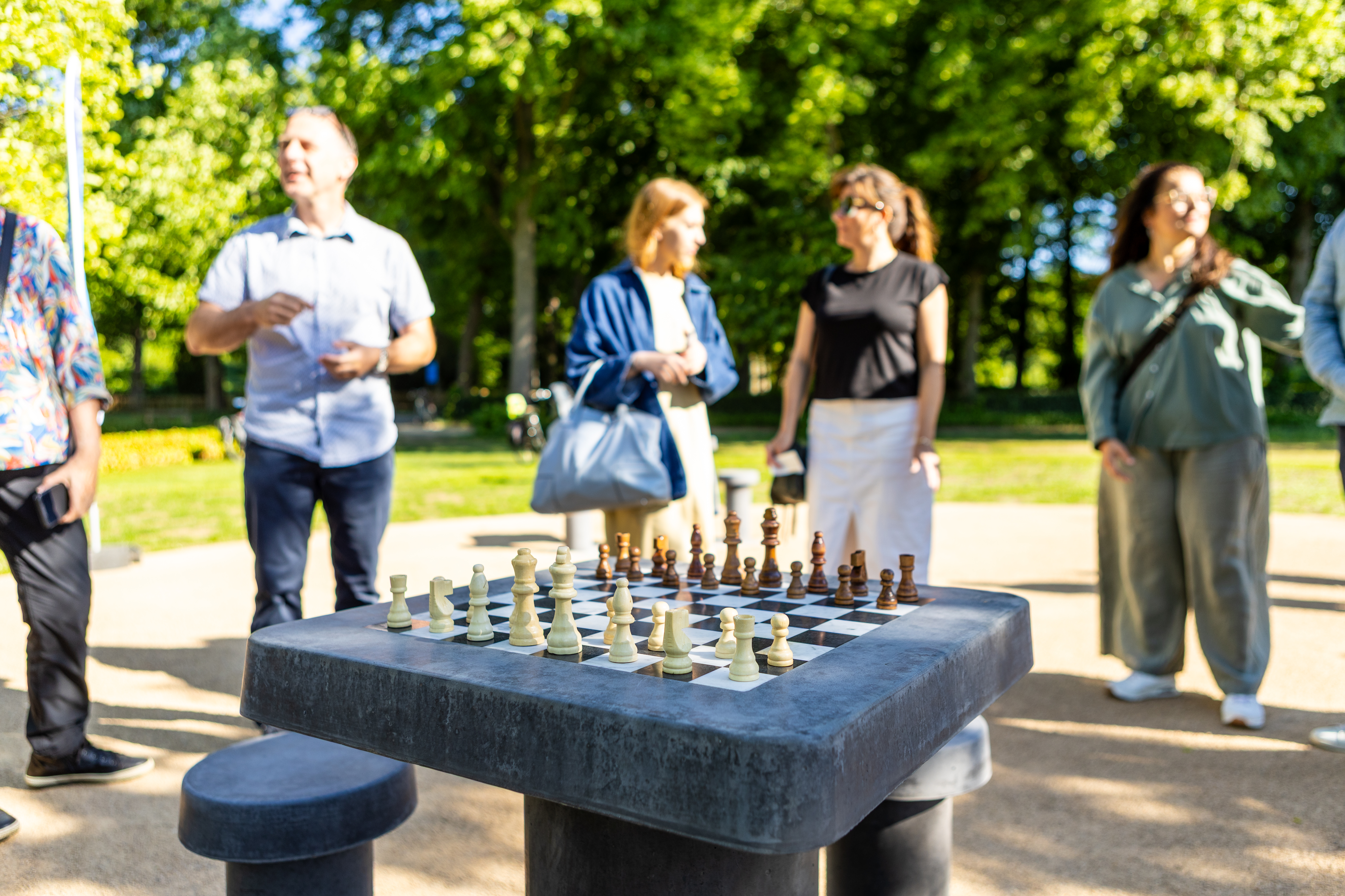 De Schaakhoek in het Rivierenhof