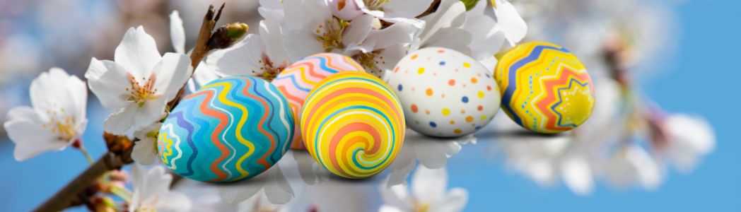 Image for gzbd activity