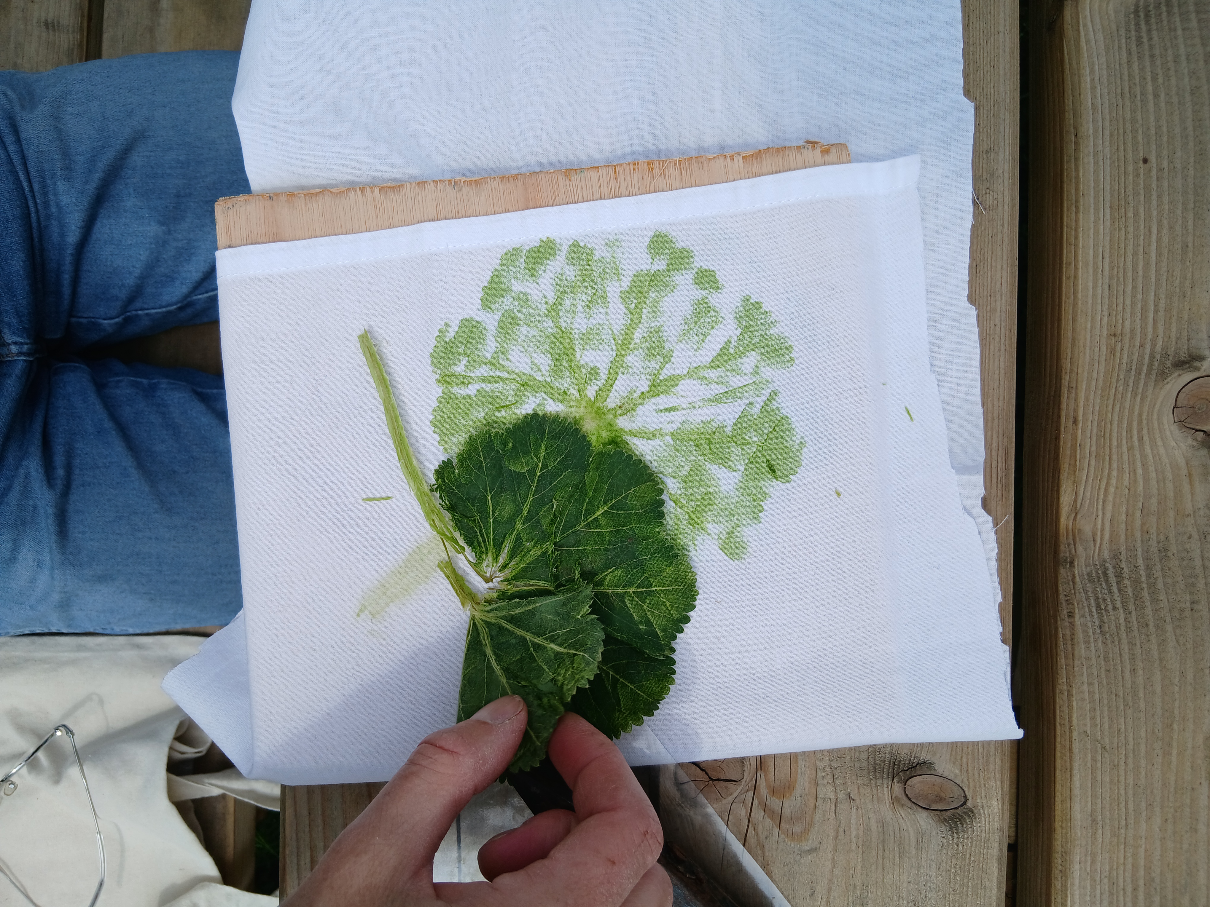 Een hand houdt een groien blad vast en hamert er afdrukken mee op een papier in een boek.