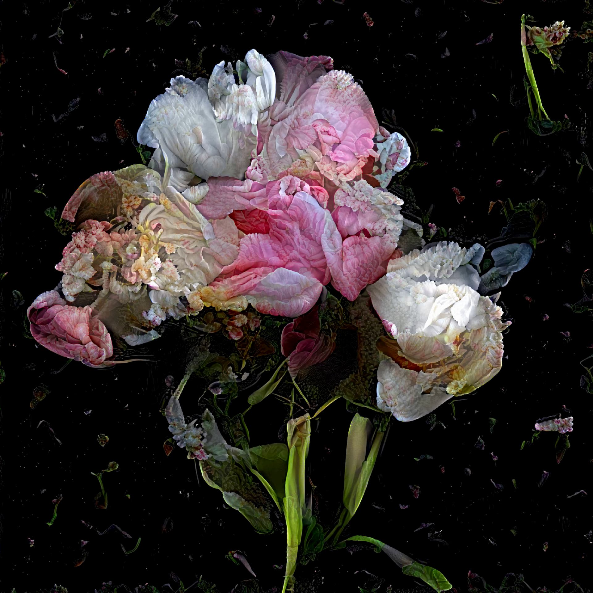 COM foto BÉLA ETIENNE GUILLOTEAU & CLAIRE CROIZÉ - ECCE & ICTUS dans web © Sof