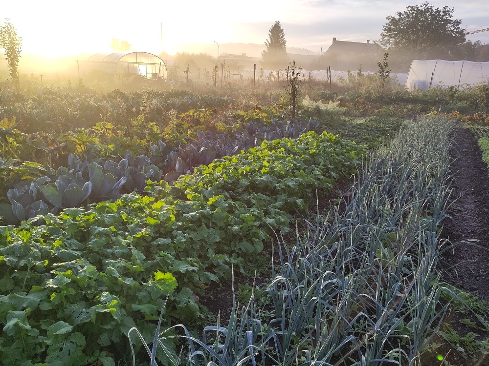 Impressie van het veld