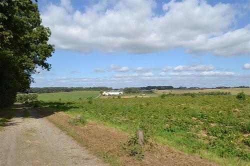 stevenistenwandeling