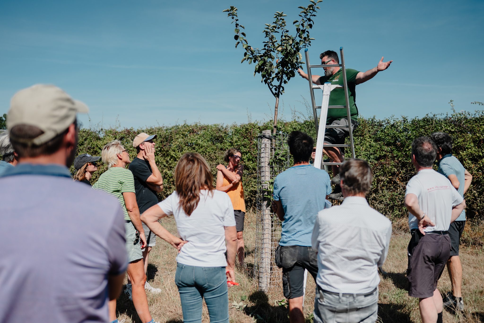 Snoeicursus 2026: Winter- en zomersnoei jonge fruitbomen