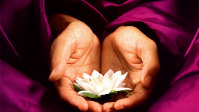 heartfulness, het non duaal hart
