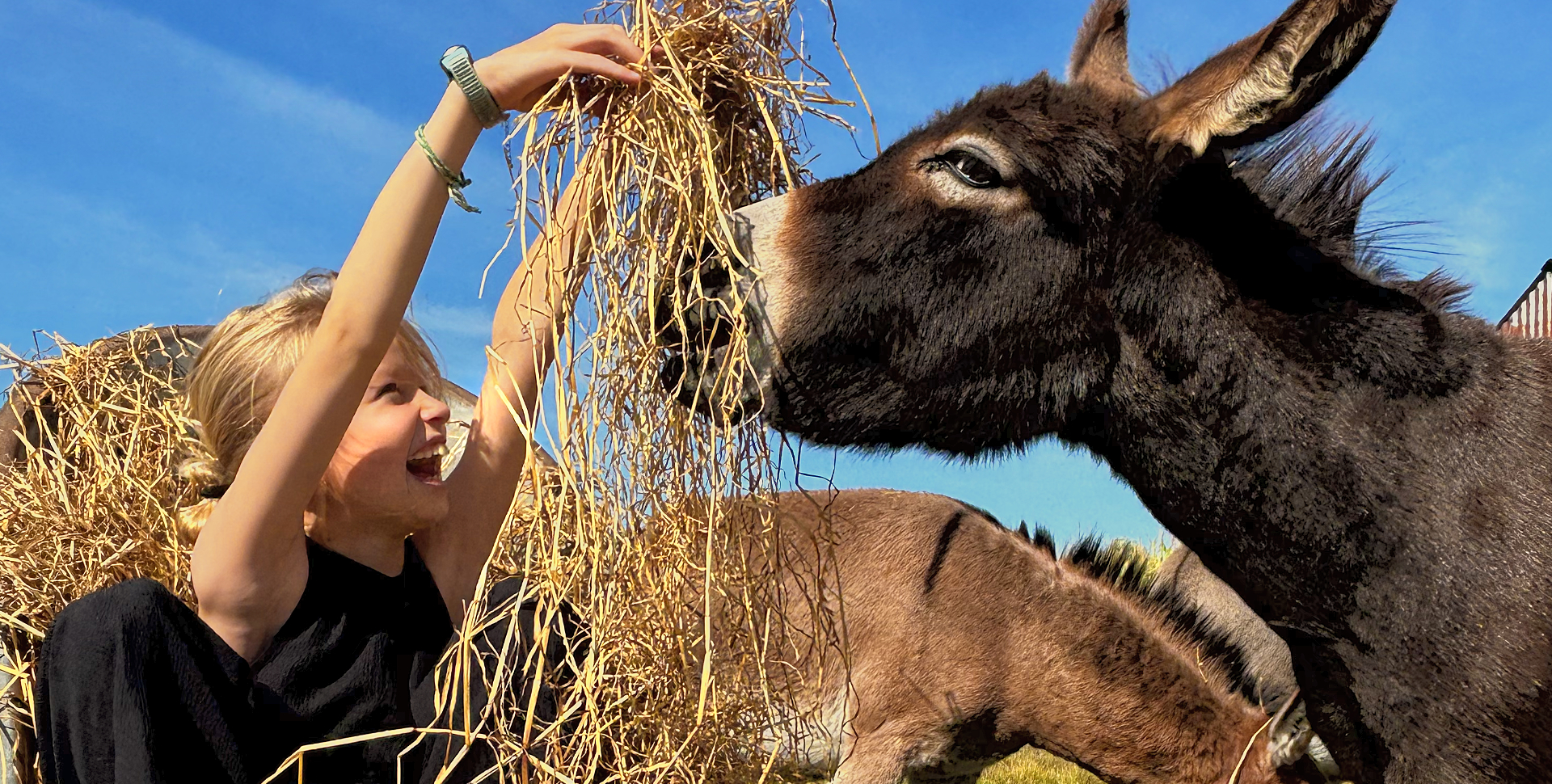 Zeekrekel Creatieve VakantieKampen 2026
