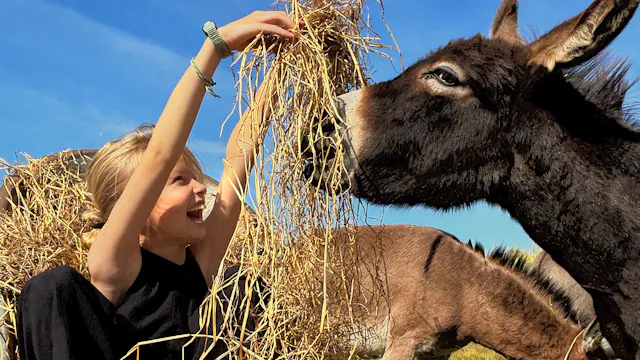 Zeekrekel Creatieve VakantieKampen 2026