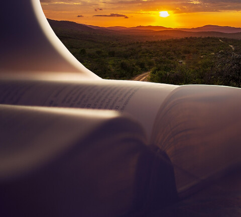Pelgrimeren in de Bijbel 11/2/2026
