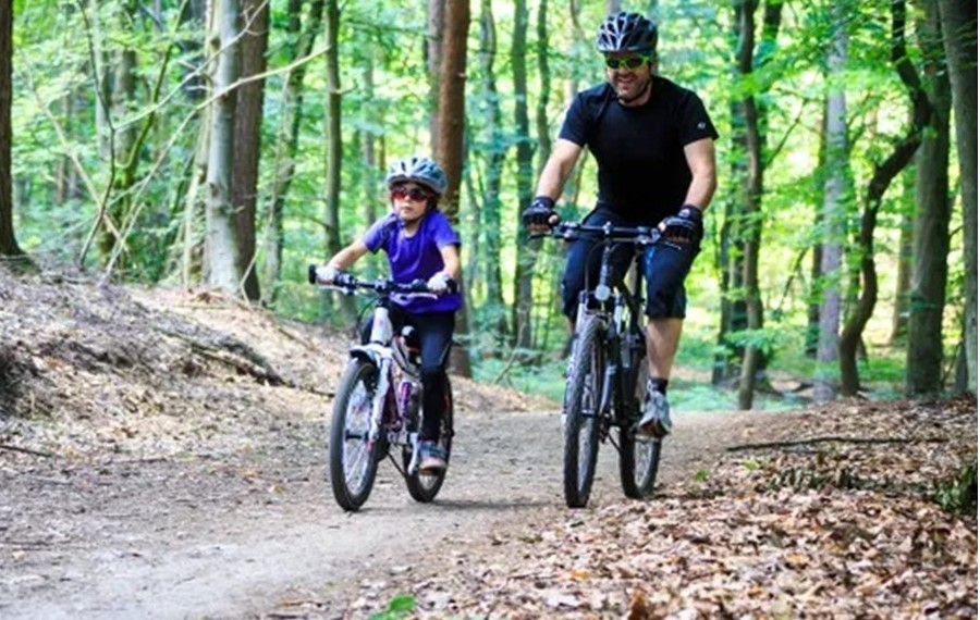 De 22ste Stekselbike