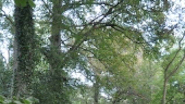 Varenbergwandeling
