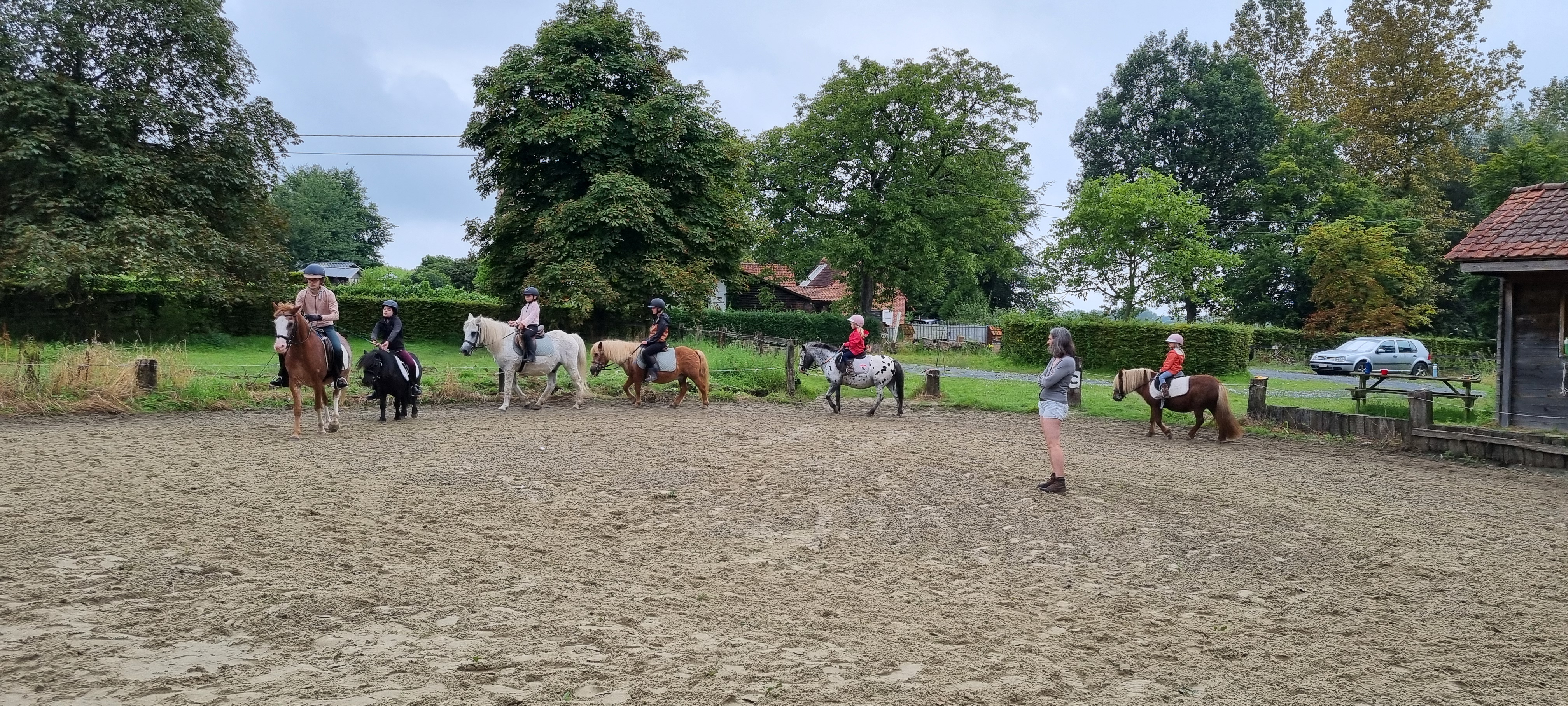 Ponyrijles Hof ten Ganzendries