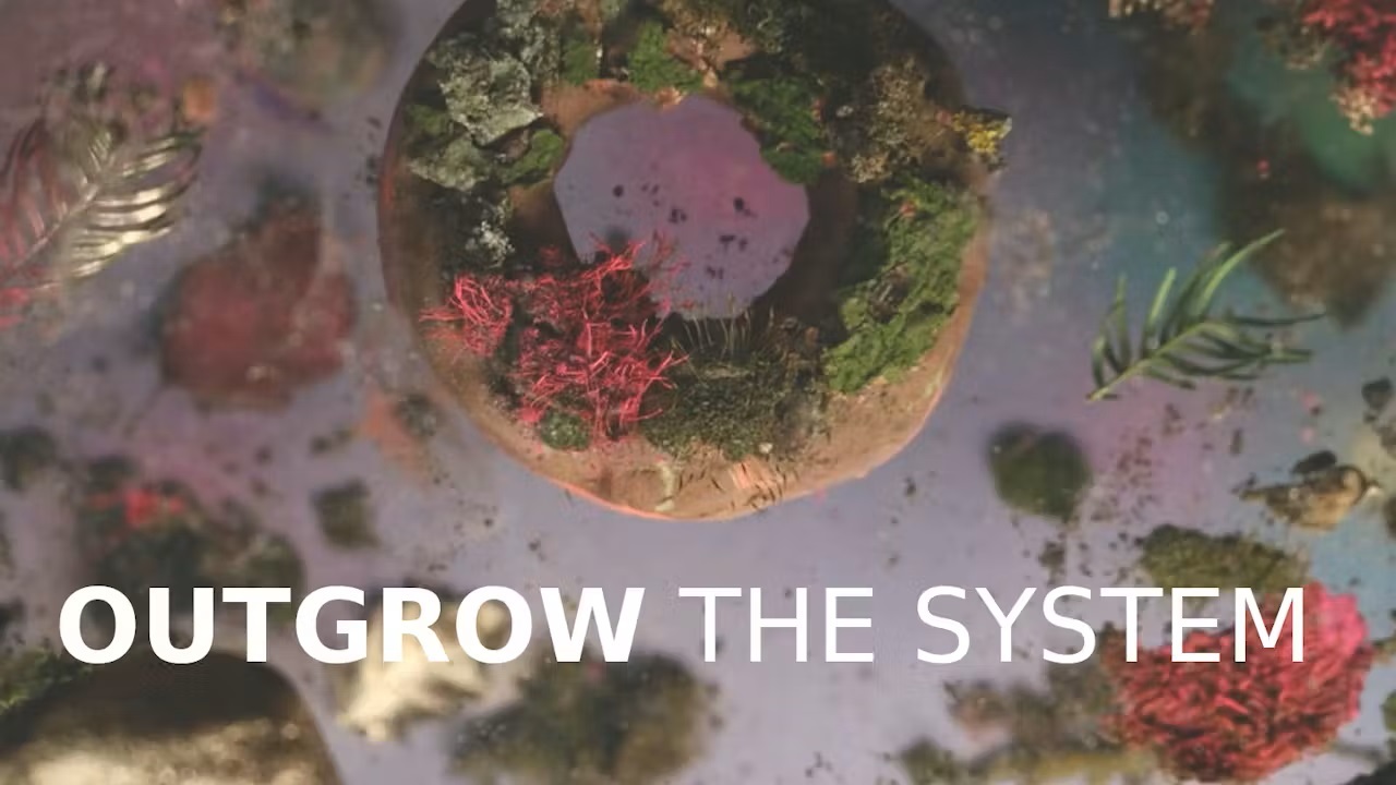 Film Outgrow the System