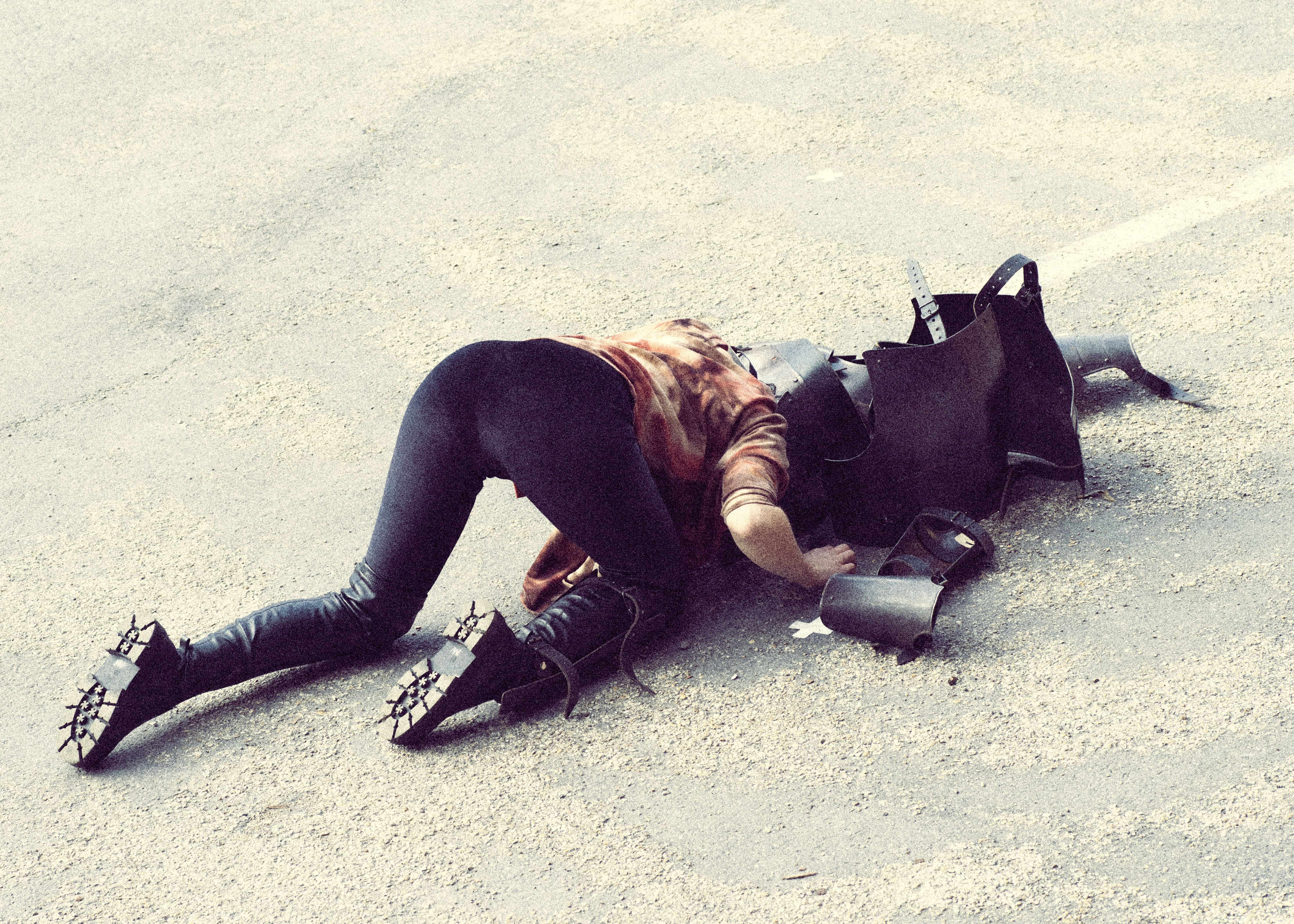 Des amoures chiennes aux amour-lichen